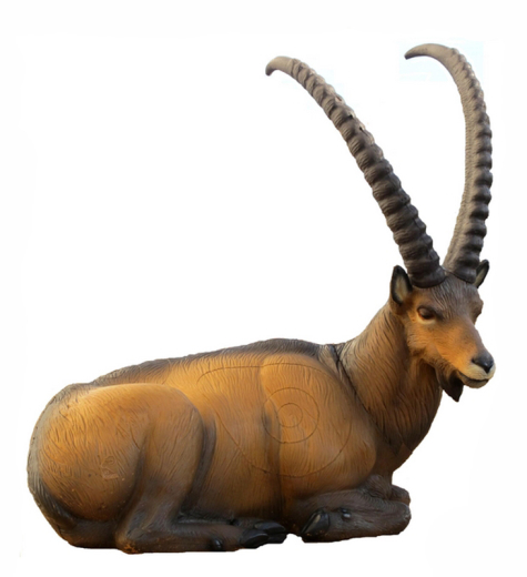 3D SRT liegender Steinbock