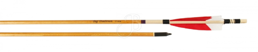 Holzpfeil Big Legend Inlay 40