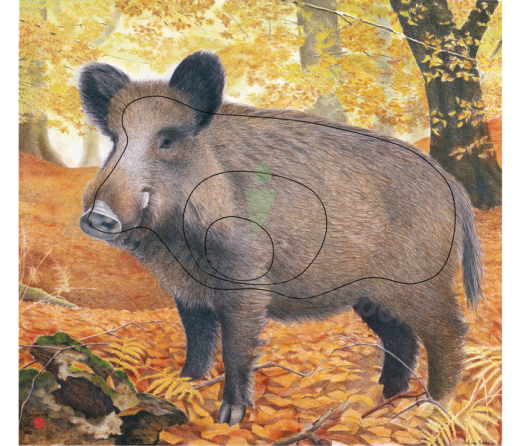 Tierbild Zielscheibenauflage Wildschwein