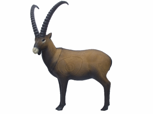 3D SRT Steinbock